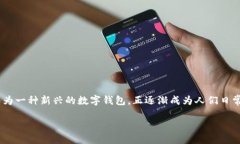 TP钱包可以用作什么支付在数字化的时代，钱包不