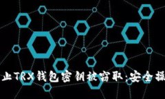 如何防止TRX钱包密钥被窃取：安全操作指南