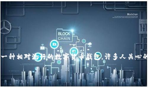 在当今数字货币流行的时代，很多人都开始使用加密钱包来存储他们的虚拟货币。而“T P钱包”作为一种相对流行的数字货币钱包，许多人关心的问题是，找回钱包的方式有哪些，是不是只有密码可以找回呢？下面，我们将为您详细解答这个问题。

如何找回T P钱包：不仅仅是密码