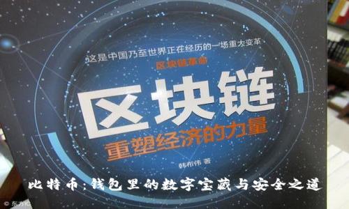 比特币：钱包里的数字宝藏与安全之道