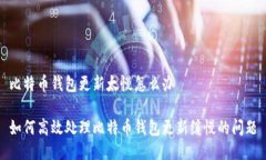 比特币钱包更新太慢怎么办如何高效处理比特币