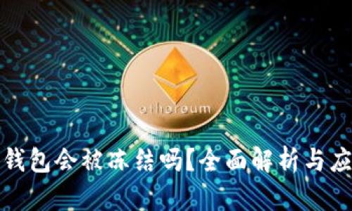 比特币钱包会被冻结吗？全面解析与应对策略