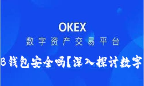 USDT放在TB钱包安全吗？深入探讨数字货币安全性