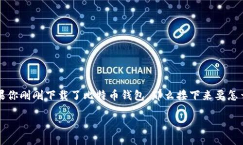 比特币钱包下载后怎么办

在当今这个数字货币快速发展的时代，比特币已经成为了一种投资和交易的热门工具。如果你刚刚下载了比特币钱包，那么接下来要怎么做呢？在本文中，我们将详细探讨下载比特币钱包后的步骤、注意事项以及一些常见问题。

比特币钱包使用指南：下载后的必备步骤