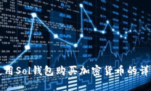 如何使用Sol钱包购买加密货币的详细指南