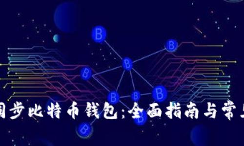 如何高效同步比特币钱包：全面指南与常见问题解答