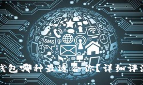 比特币钱包哪种最适合你？详细评测与推荐