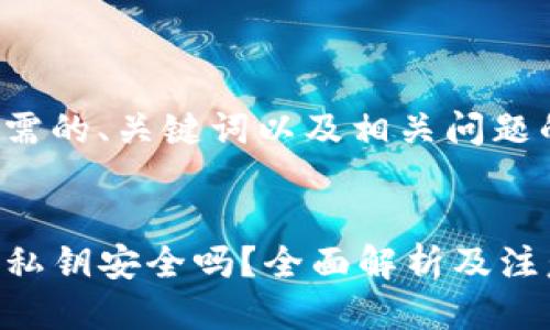 以下是您所需的、关键词以及相关问题的详细介绍：


TP钱包导出私钥安全吗？全面解析及注意事项