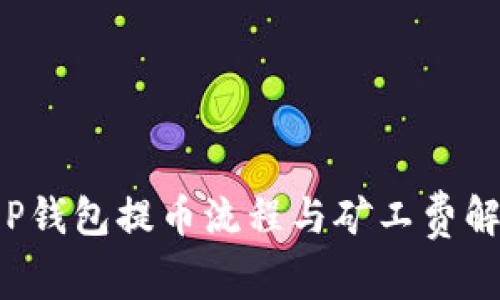 T P钱包提币流程与矿工费解析
