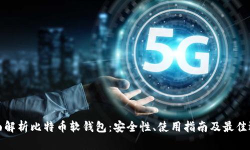 全面解析比特币软钱包：安全性、使用指南及最佳选择