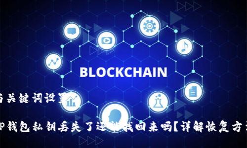 与关键词设置

TP钱包私钥丢失了还能找回来吗？详解恢复方法