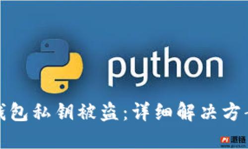 如何应对TP钱包私钥被盗：详细解决方案与防范措施
