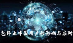 TP钱包终止中国用户的影响与应对策略