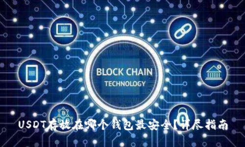 USDT存放在哪个钱包最安全？详尽指南
