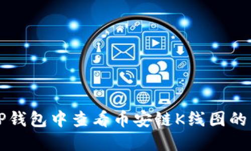 如何在TP钱包中查看币安链K线图的详细指南