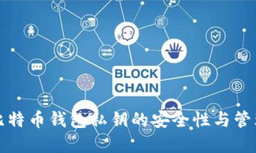 早期比特币钱包私钥的安全性与管理策略