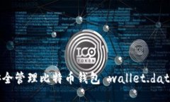 如何安全管理比特币钱包 wallet.dat 文件？