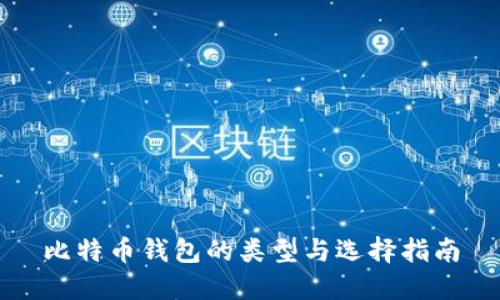 比特币钱包的类型与选择指南