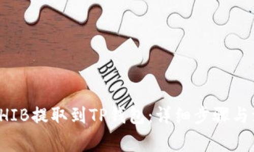 如何将SHIB提取到TP钱包：详细步骤与注意事项