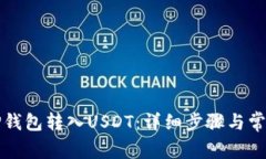 如何通过TP钱包转入USDT：详细步骤与常见问题解