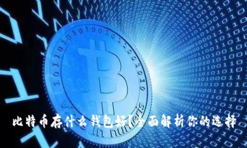 比特币存什么钱包好？全面解析你的选择