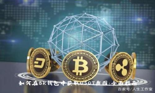 如何在BK钱包中获取USDT截图：全面指南