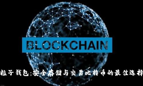 粒子钱包：安全存储与交易比特币的最佳选择