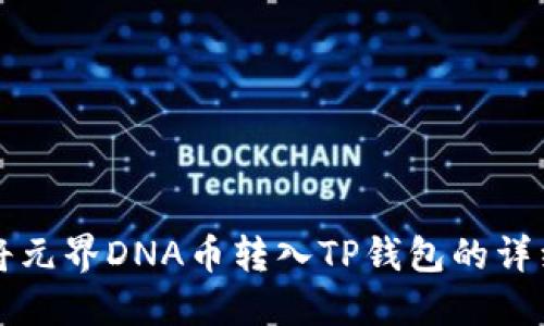 如何将元界DNA币转入TP钱包的详细指南