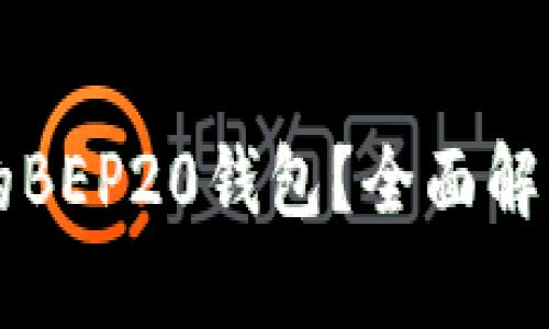 什么是TP上的BEP20钱包？全面解析与使用指南