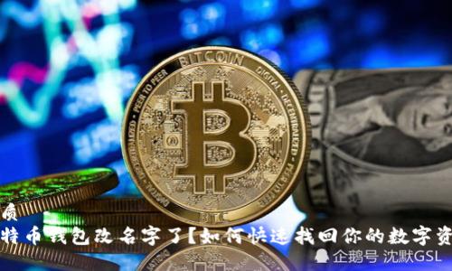 优质 
比特币钱包改名字了？如何快速找回你的数字资产