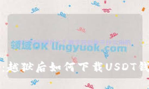 详细解析：越狱后如何下载USDT钱包的教程