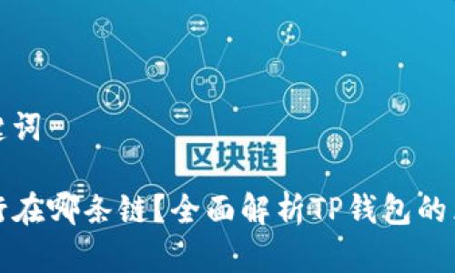 思考和关键词

TP钱包运行在哪条链？全面解析TP钱包的区块链技术