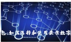 瑞波币生态钱包：如何选择和使用最佳数字资产