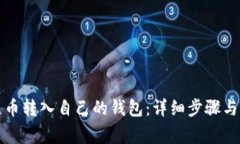 如何将屎币转入自己的钱包：详细步骤与注意事