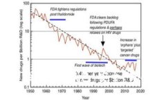 2023年最受欢迎的Token钱包：安全、易用和多功能
