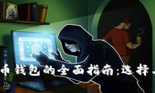 USDT和比特币钱包的全面指南：选择与安全性分析