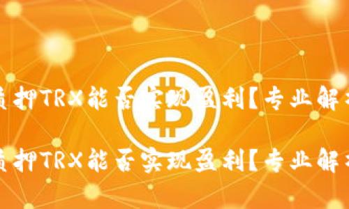 在TP钱包中质押TRX能否实现盈利？专业解析和实用指南

在TP钱包中质押TRX能否实现盈利？专业解析和实用指南
