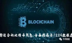 如何选择适合的比特币钱包：全面指南与122G数据