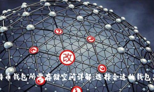 比特币钱包所需存储空间详解：选择合适的钱包类型