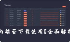 TP钱包在国内能否下载使用？全面解析与应用指南