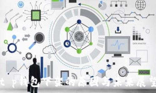   
t p钱包下架的原因与未来展望