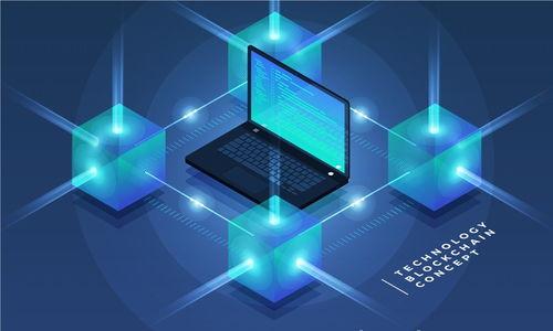 

如何查看TP钱包中的所有持有币种？