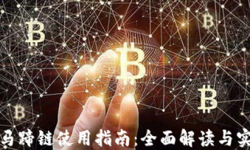 
TP钱包马蹄链使用指南：全面解读与实用技巧