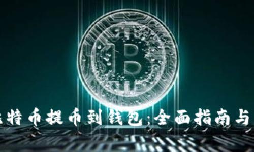 如何将比特币提币到钱包：全面指南与步骤解析