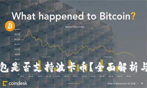 比特派钱包是否支持波卡币？全面解析与用户指南