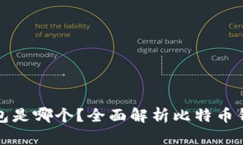 比特币最安全的钱包是哪个？全面解析比特币钱包的选择与安全性