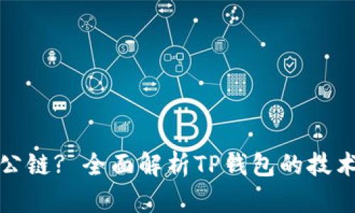 TP钱包基于什么公链? 全面解析TP钱包的技术基础与应用前景