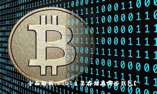 : 全面解析：USDT主要存储在哪些钱包？